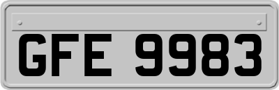 GFE9983