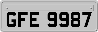 GFE9987