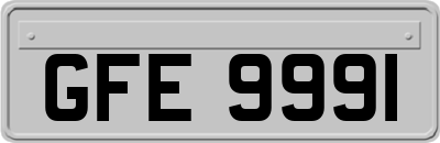 GFE9991