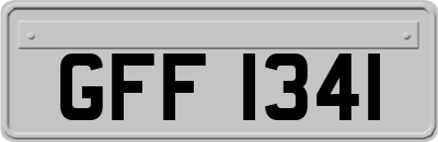 GFF1341