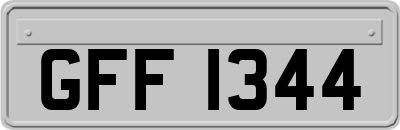 GFF1344