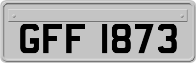 GFF1873