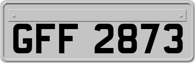GFF2873