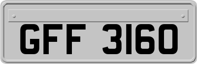 GFF3160