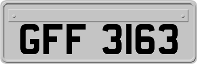GFF3163