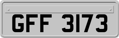 GFF3173