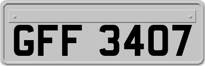 GFF3407