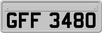 GFF3480