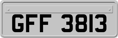 GFF3813
