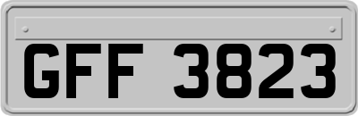 GFF3823