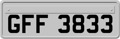 GFF3833