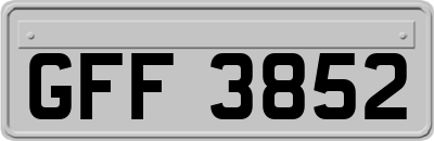 GFF3852