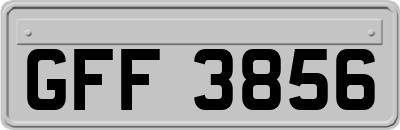 GFF3856