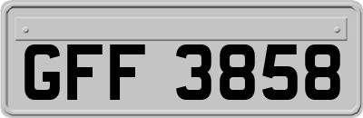 GFF3858