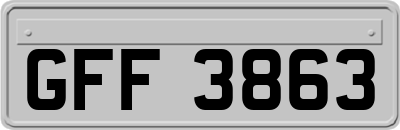 GFF3863