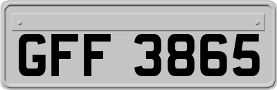 GFF3865