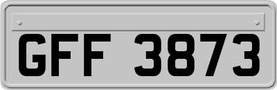GFF3873