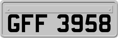 GFF3958