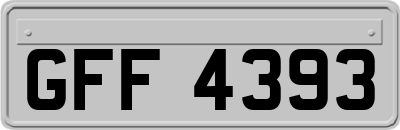 GFF4393