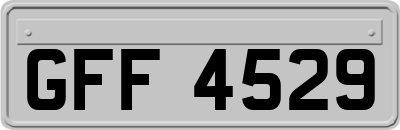 GFF4529