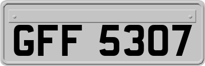 GFF5307