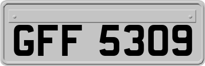GFF5309