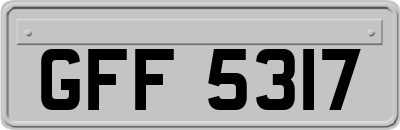GFF5317