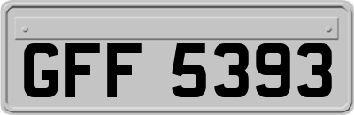 GFF5393