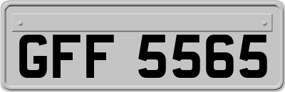 GFF5565