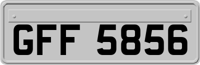 GFF5856