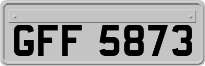 GFF5873