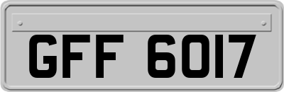 GFF6017