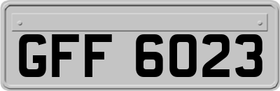 GFF6023