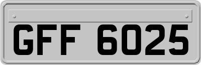 GFF6025