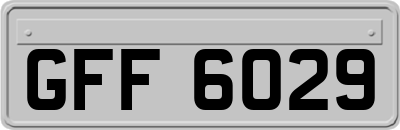 GFF6029