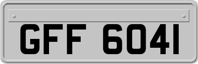 GFF6041