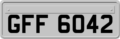 GFF6042