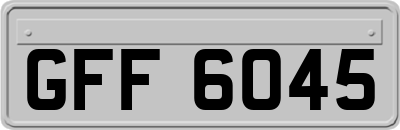 GFF6045
