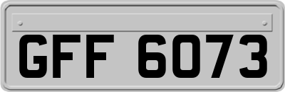 GFF6073
