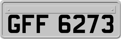 GFF6273