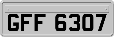 GFF6307