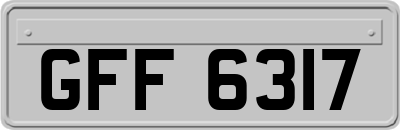 GFF6317
