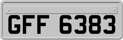 GFF6383