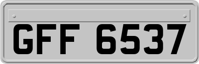 GFF6537