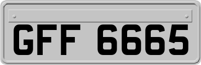 GFF6665