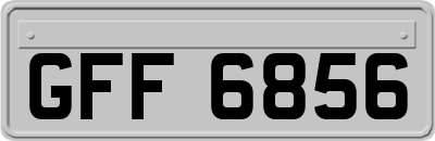 GFF6856