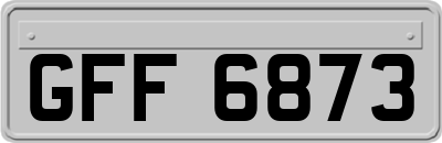 GFF6873