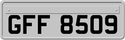 GFF8509