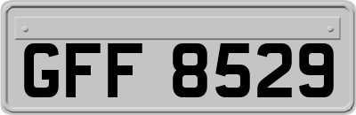 GFF8529