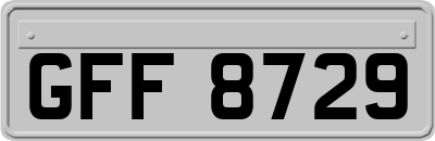 GFF8729